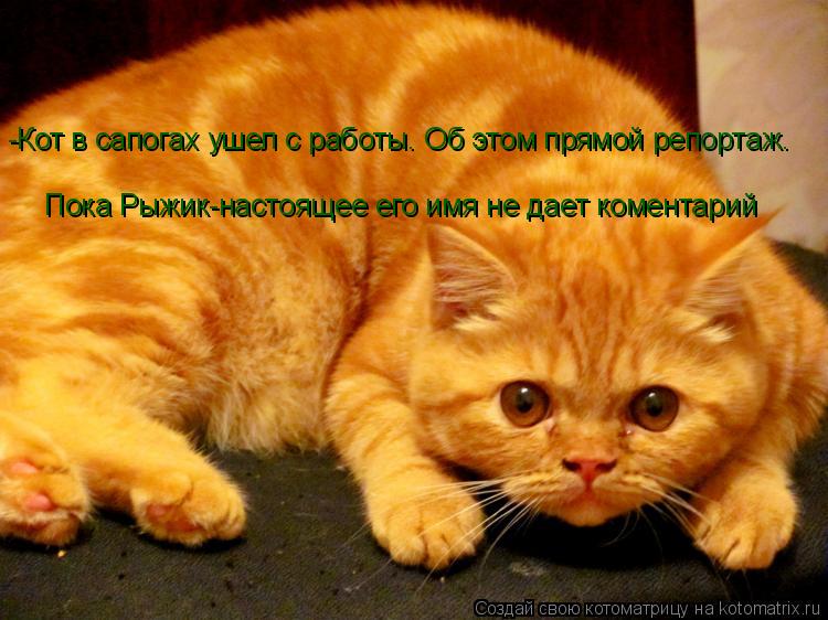 Котоматрица: -Кот в сапогах ушел с работы. Об этом прямой репортаж. Пока Рыжик-настоящее его имя не дает коментарий