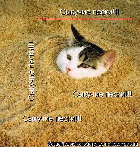 Котоматрица: Сыкучие пески!!! Сыкучие пески!!! Сыкучие пески!!! Сыкучие пески!!! _______________________