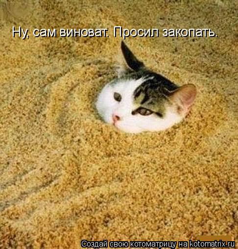 Котоматрица: Ну, сам виноват. Просил закопать.