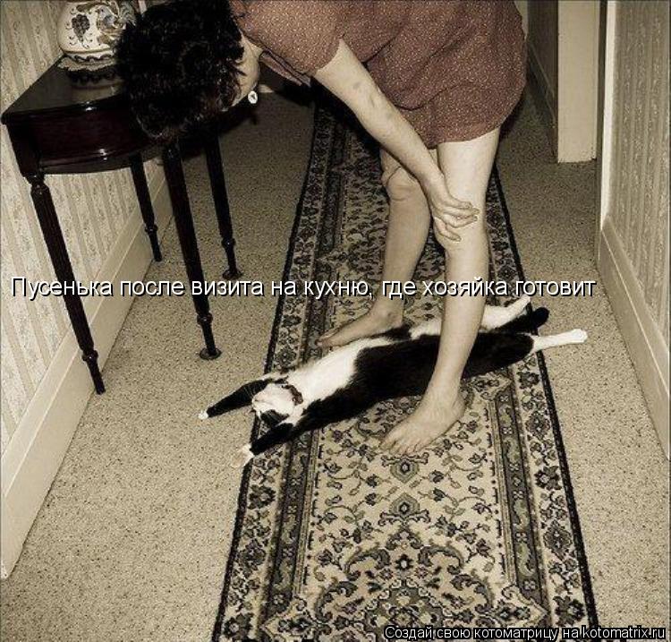 Котоматрица: Пусенька после визита на кухню, где хозяйка готовит