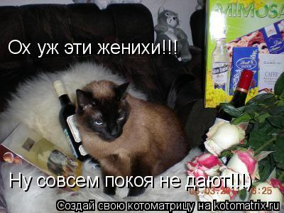 Котоматрица: Ох уж эти женихи!!! Ну совсем покоя не дают!!!)