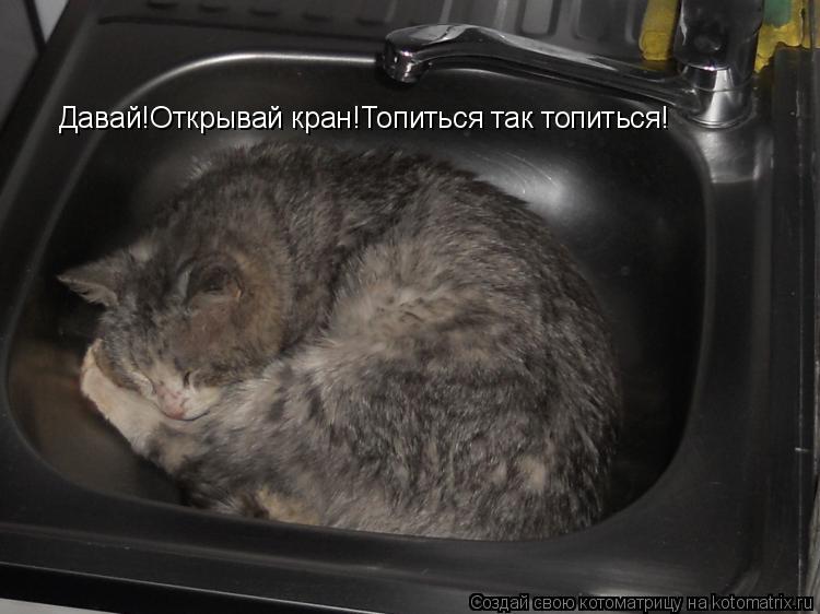 Котоматрица: Давай!Открывай кран!Топиться так топиться!
