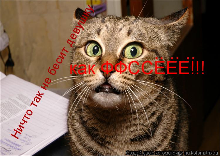 Котоматрица: Ничто так не бесит девушку как ФФССЕЕЕ!!! .. .. ..