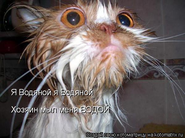 Котоматрица: Я Водяной я Водяной Хозяин мыл меня ВОДОЙ