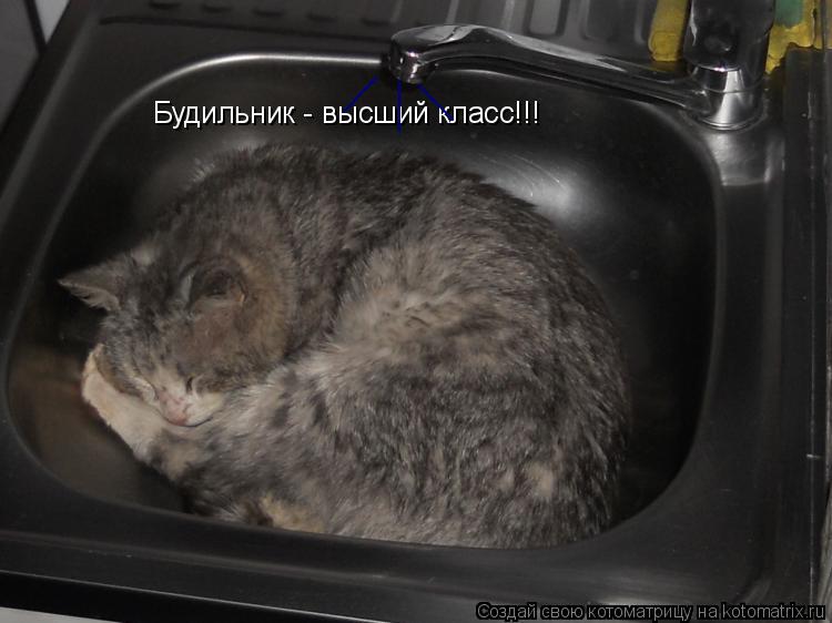 Котоматрица: Будильник - высший класс!!! ___ ___ ___