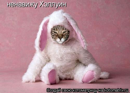 Котоматрица: ненавижу Хэллуин