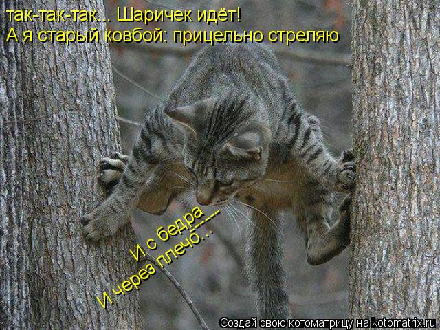 Котоматрица: так-так-так... Шаричек идёт! А я старый ковбой: прицельно стреляю  И с бедра И через плечо... ------