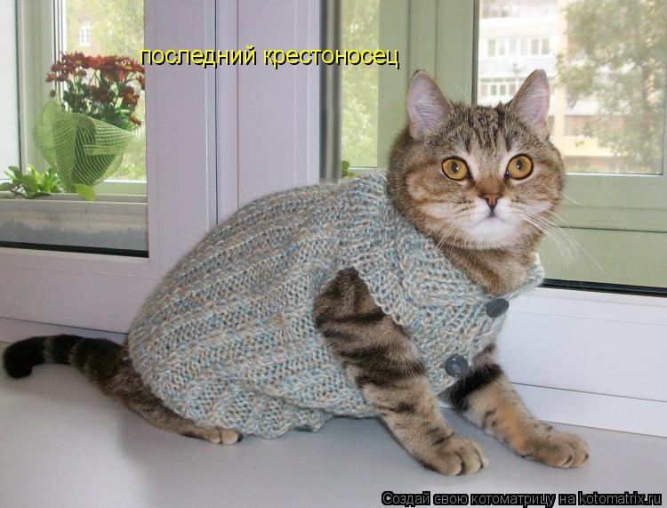 последний крестоносец... Котоматрица: последний крестоносец