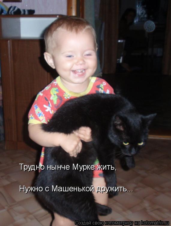 Котоматрица: Трудно нынче Мурке жить, Нужно с Машенькой дружить...