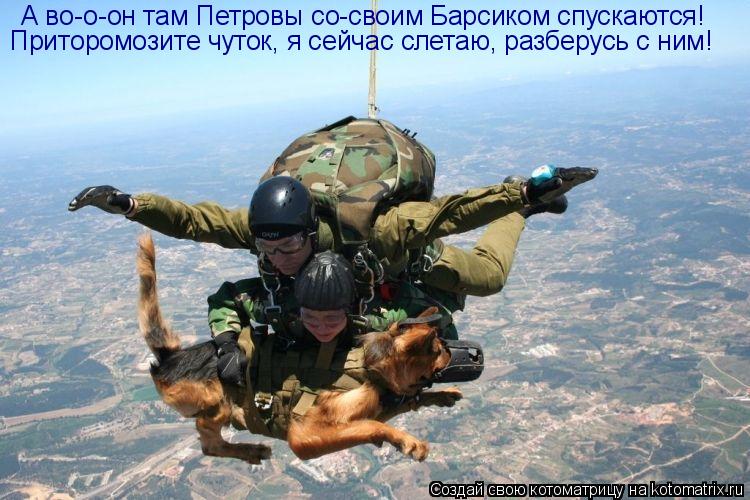Котоматрица: А во-о-он там Петровы со-своим Барсиком спускаются! Приторомозите чуток, я сейчас слетаю, разберусь с ним!