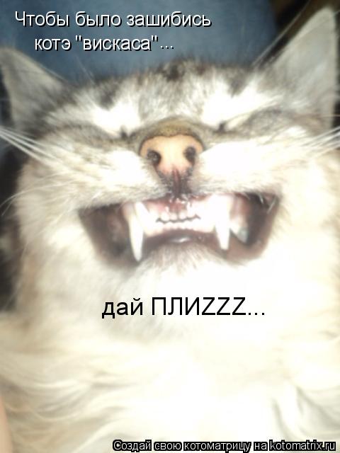 Котоматрица: Чтобы было зашибись  котэ "вискаса"  ... дай ПЛИZZZ/// дай ПЛИZZZ...
