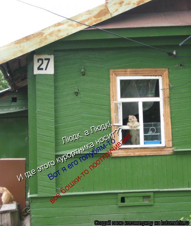 Котоматрица: Людк, а Людк! И где этого курортника носит?? Вот я его голубям-то все бошки-то пооткручиваю!