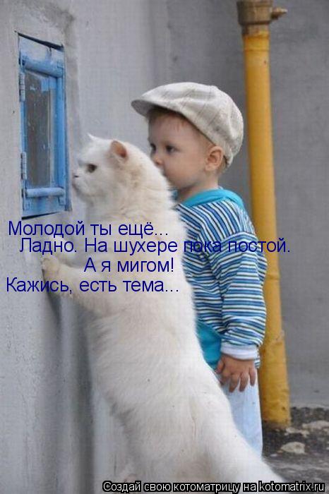 Котоматрица: Молодой ты ещё... Ладно. На шухере пока постой. А я мигом!  Кажись, есть тема...