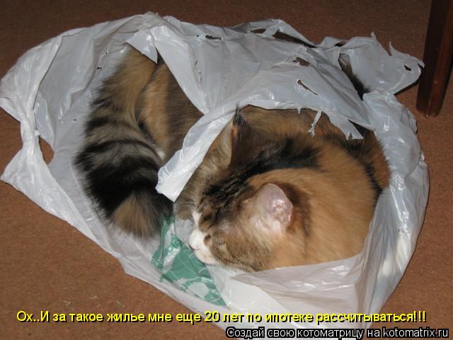 Котоматрица: Ох..И за такое жилье мне еще 20 лет по ипотеке рассчитываться!!!