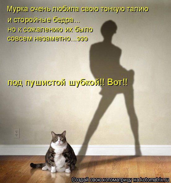 Котоматрица: Мурка очень любила свою тонкую талию и сторойные бедра... но к сожалению их было  совсем незаметно...эээ под пушистой шубкой!! Вот!!