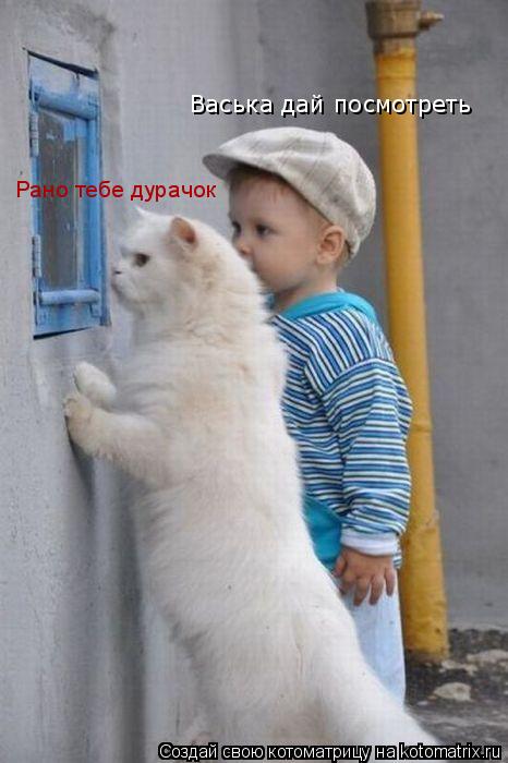 Котоматрица: Васька дай посмотреть Рано тебе дурачок