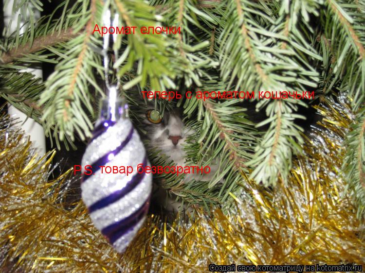 Котоматрица: Аромат елочки  теперь с ароматом кошачьки P.S. товар безвозратно