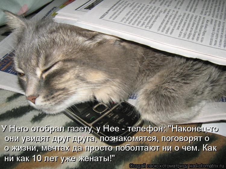 У Него отобрал газету, у Нее - телефон: "Наконец-то они увидят друг друга, познакомятся, поговорят о ... Котоматрица: У Него отобрал газету, у Нее - телефон: "Наконец-то они увидят друг друга, познакомятся, поговорят о о жизни, мечтах да просто поболтают ни о ч