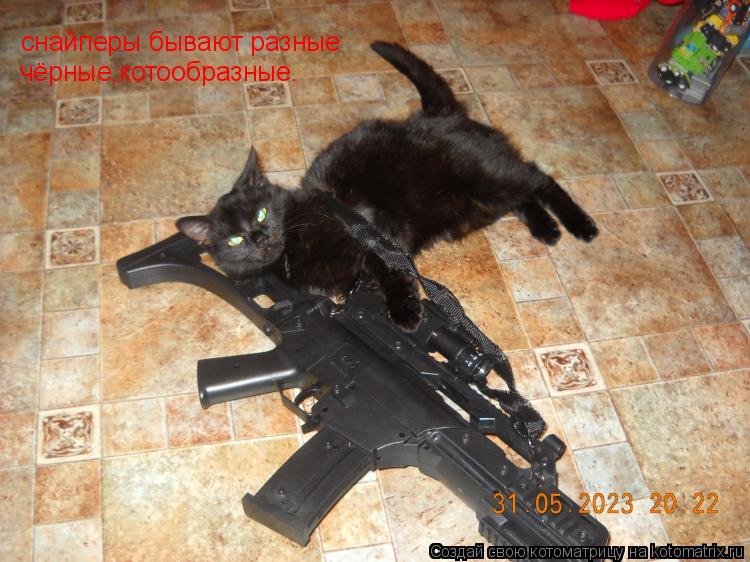 Котоматрица: снайперы бывают разные  снайперы бывают разные  чёрные,котообразные.