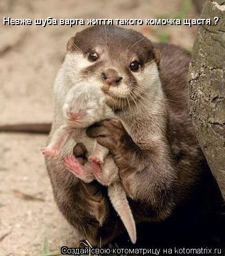 Котоматрица: Невже шуба варта життя такого комочка щастя ?