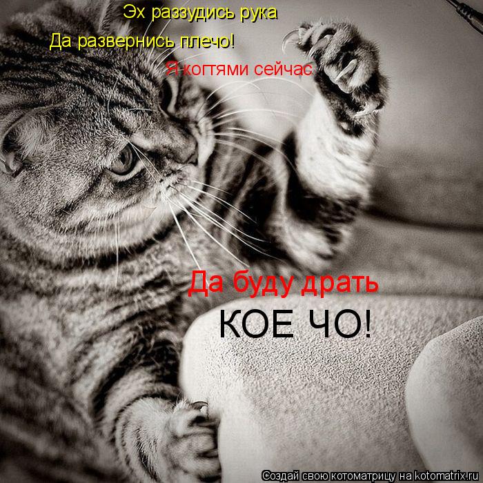 Котоматрица: Эх раззудись рука Да развернись плечо! Я когтями сейчас Да буду драть КОЕ ЧО!