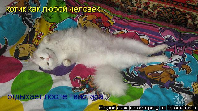 Котоматрица: котик как любой человек котик как любой человек отдыхает после твистэра