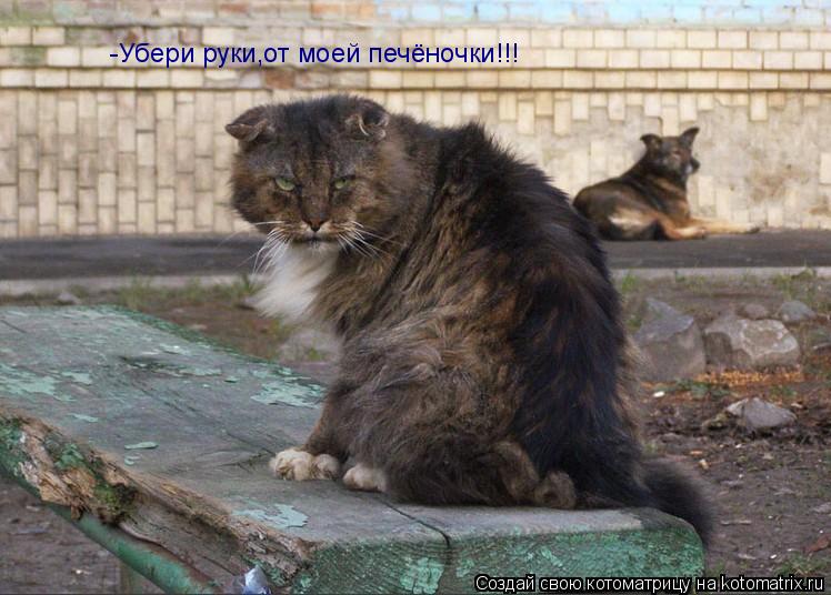 Котоматрица: -Убери руки,от моей печёночки!!!