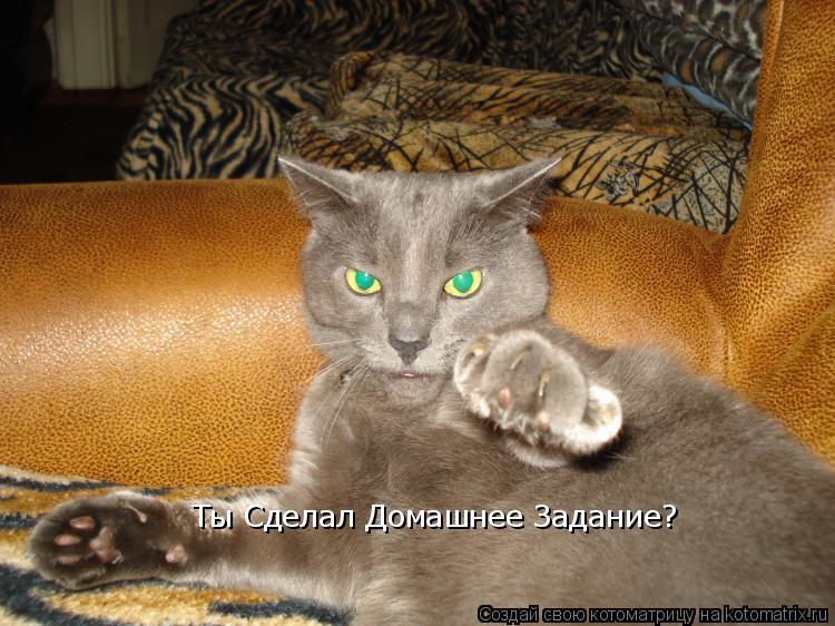 Котоматрица: Ты Сделал Домашнее Задание?
