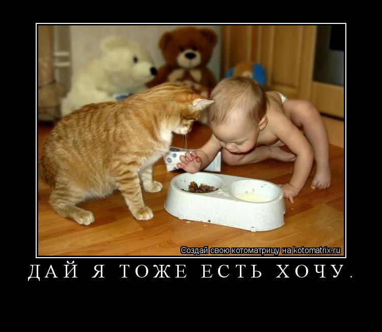 Котоматрица: Дай я тоже есть хочу. 