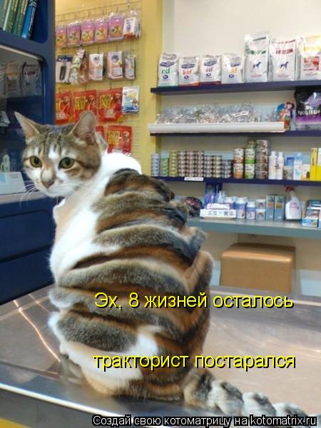 Котоматрица: Эх, 8 жизней осталось  тракторист постарался