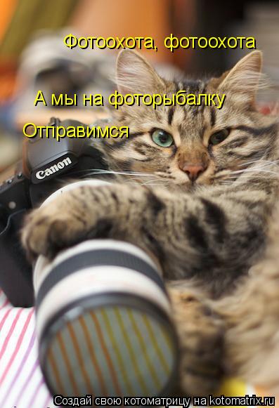 Котоматрица: Фотоохота, фотоохота А мы на фоторыбалку  Отправимся