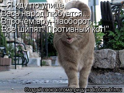 Котоматрица: --Я иду по улице, Весь народ любуется... Впрочем,вру--наоборот, Все шипят:"Противный кот!"