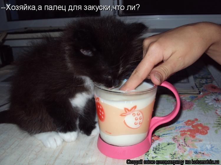 Котоматрица: --Хозяйка,а палец для закуски,что ли?