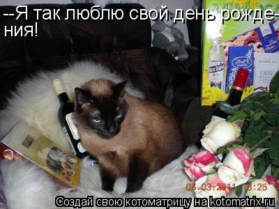Котоматрица: --Я так люблю свой день рожде- ния!