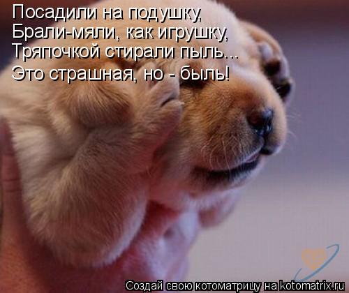 Котоматрица: Посадили на подушку, Брали-мяли, как игрушку, Тряпочкой стирали пыль... Это страшная, но - быль!