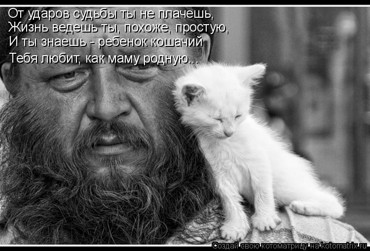 Котоматрица: От ударов судьбы ты не плачешь, Жизнь ведешь ты, похоже, простую, И ты знаешь - ребенок кошачий Тебя любит, как маму родную...
