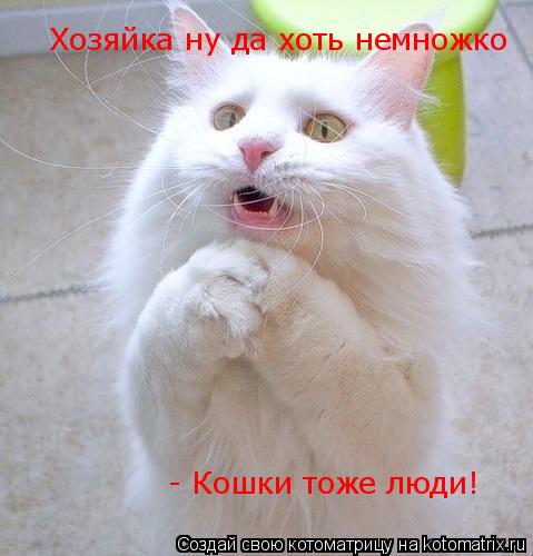Котоматрица: Хозяйка ну да хоть немножко - Кошки тоже люди!