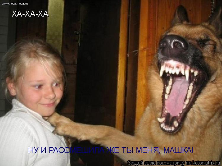 Котоматрица: ХА-ХА-ХА НУ И РАССМЕШИЛА ЖЕ ТЫ МЕНЯ, МАШКА!