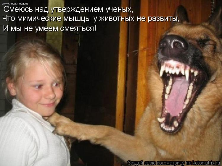 Котоматрица: Смеюсь над утверждением ученых,  Что мимические мышцы у животных не развиты, И мы не умеем смеяться!