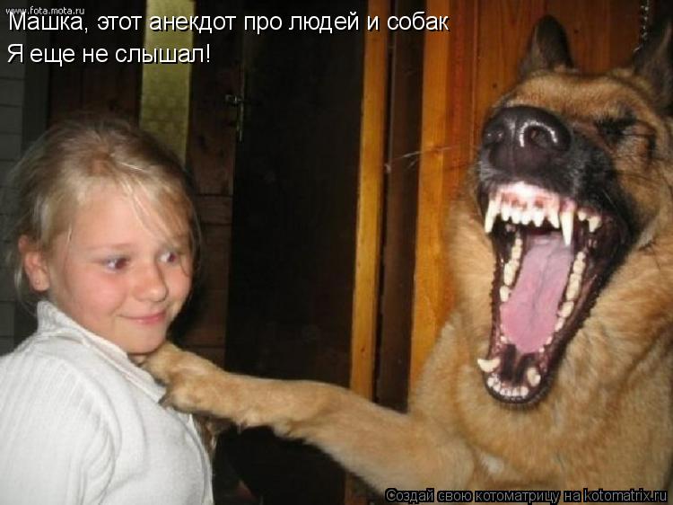 Котоматрица: Машка, этот анекдот про людей и собак Я еще не слышал!