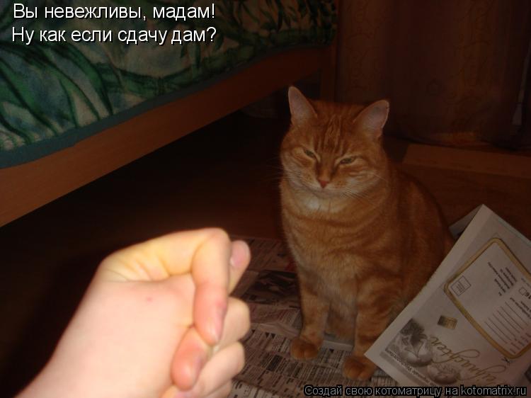 Котоматрица: Вы невежливы, мадам! Ну как если сдачу дам?