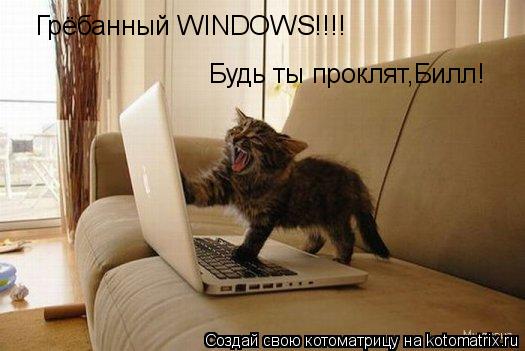 Котоматрица: Грёбанный WINDOWS!!!! Будь ты проклят,Билл!
