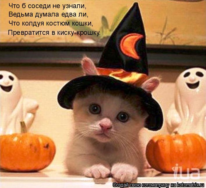 Котоматрица: Что б соседи не узнали, Ведьма думала едва ли, Что колдуя костюм кошки, Превратится в киску-крошку.