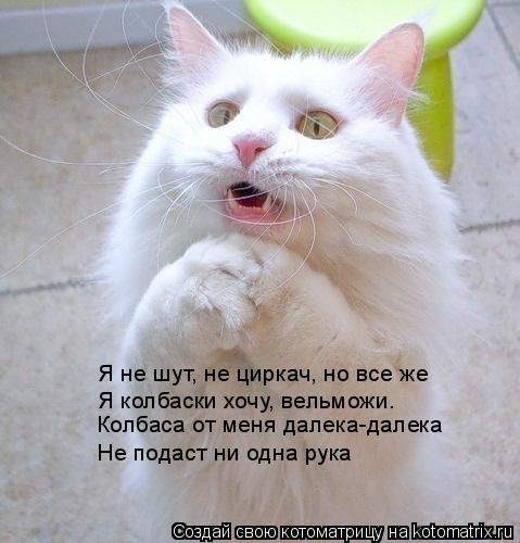 Котоматрица: Я не шут, не циркач, но все же Я колбаски хочу, вельможи. Колбаса от меня далека-далека Не подаст ни одна рука
