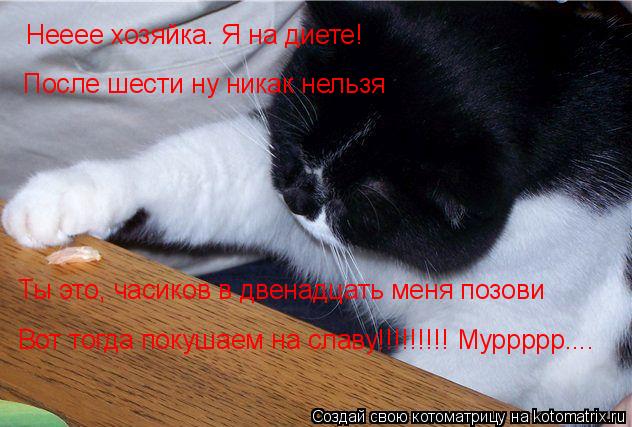Котоматрица: Нееее хозяйка. Я на диете! После шести ну никак нельзя Ты это, часиков в двенадцать меня позови Вот тогда покушаем на славу!!!!!!!!! Муррррр....