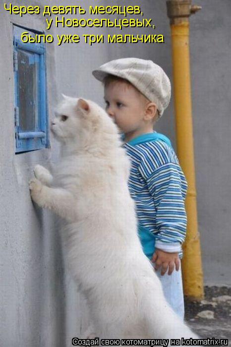 Котоматрица: Через девять месяцев,  у Новосельцевых,  было уже три мальчика