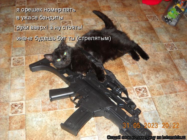 Котоматрица: я орешек номер пять в ужасе бандиты руки вверх! а ну стоять! иначе будешь бит ты (стрелятым)