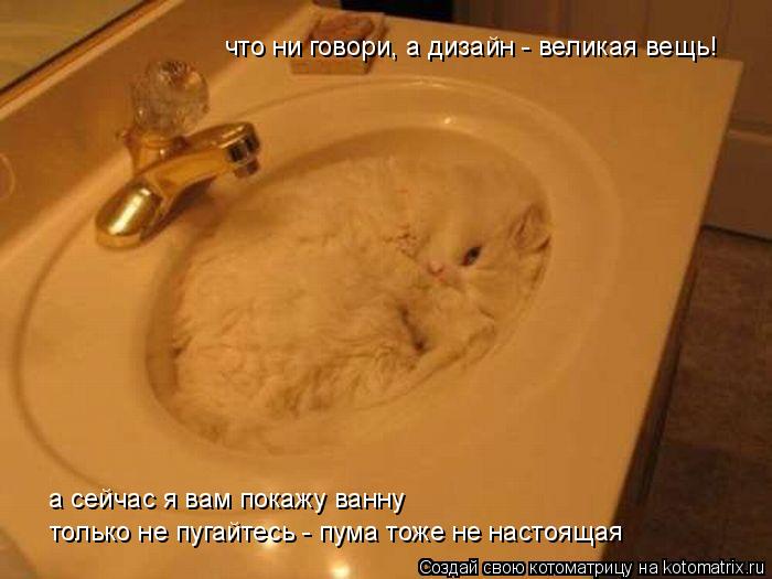 Котоматрица: что ни говори, а дизайн - великая вещь! а сейчас я вам покажу ванну  только не пугайтесь - пума тоже не настоящая