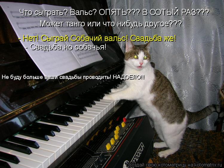 Котоматрица: Что сыграть? Вальс? ОПЯТЬ??? В СОТЫЙ РАЗ??? Может танго или что нибудь другое???  - Нет! Сыграй Собачий вальс! Свадьба же!   - Свадьба,но собачья! Не 