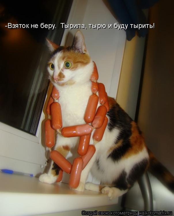 Котоматрица: -Взяток не беру.  Тырила, тырю и буду тырить!